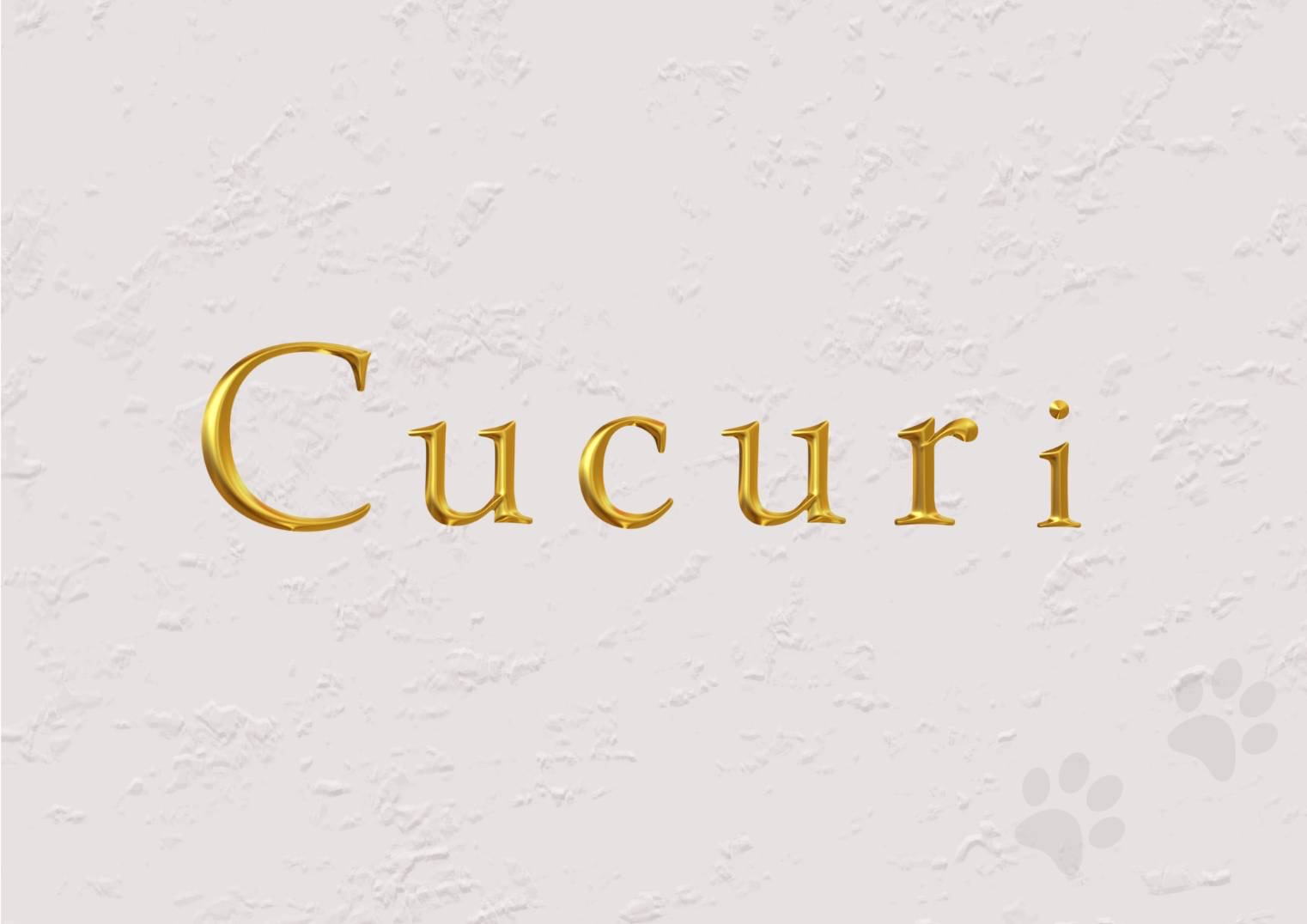 cucuri – trimming salon